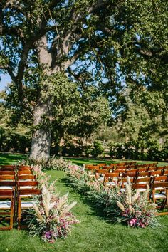 rows of wooden chairs sitting on top of a lush green field next to a tree