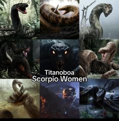 several pictures of different types of animals in the jungle with caption that reads, titanoba scorpio women