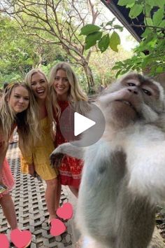 three girls standing next to a monkey with hearts on it's back