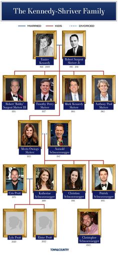 A Guide to the Kennedy Family Tree Family Tree Explained, Sargent Shriver, Katherine Schwarzenegger, Peter Lawford, John Junior, Divorce And Kids, Memoirs, Family Tree