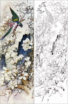 two pictures with birds and flowers on them