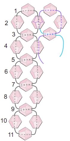 the diagram shows how many different shapes can be seen in this image, and what are they