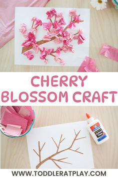 cherry blossom craft for kids to make with tissue paper and glue on the table,