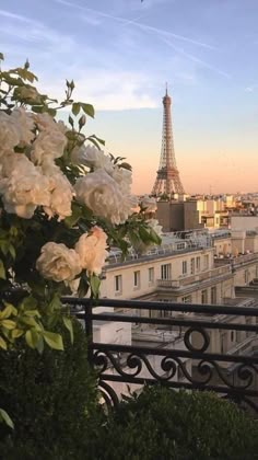 the eiffel tower towering over paris is seen in this view from an apartment balcony