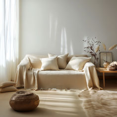 a living room with a couch and pillows on the floor in front of a window