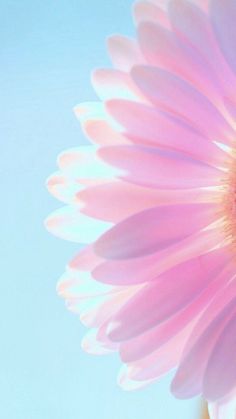 a large pink flower in front of a blue sky with some light colored petals on it