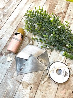 some green plants are sitting on the floor next to a dvd and tape measures