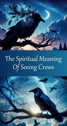 the book cover for the spirital meaning of seeing crows