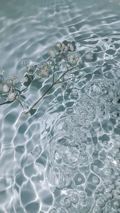 the water is crystal clear and there are flowers floating in it