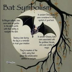 Bats In Witchcraft, Bat Spiritual Meaning, Bat Spirit Animal Meaning, Bat Symbolism, Night Creatures, Creature Of The Night