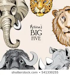 four different types of wild animals with the words africa's big five