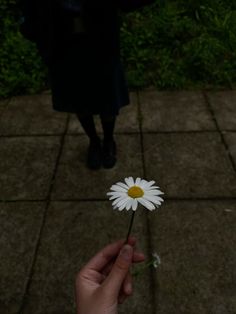 a person holding a white flower in their hand