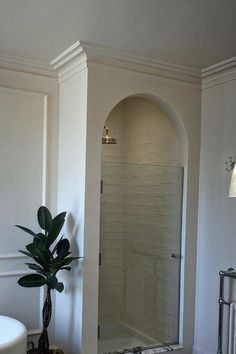 a bath room with a tub and a plant in the corner on the floor next to it