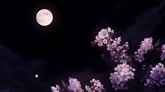 the full moon shines brightly in the dark night sky above some purple flowering trees