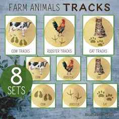 * Set of 8 Farm animal tracks Flashcards and Matching cards * * WHAT WILL YOU RECEIVE * - THREE letter sized PDF files. - 8 Farm animal tracks flashcards - 8 pairs for Farm animal tracks matching cards - Watercolor, realistic, Montessori friendly pictures *INSTRUCTIONS* The print file is in letter format, so be sure to check the print preview for any other paper formats and choose the appropriate size option. Print on cardstock and cut out the cards. DELIVERY: Available as an instant download. O Harvest Preschool, Farm Preschool Activities, Farm Montessori, Farm Theme Crafts, Montessori Spring, Letter C Activities, Farm Activities Preschool, 1st Grade Curriculum, Watercolor Realistic