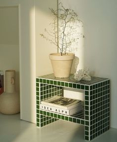 a plant is sitting on top of a book shelf