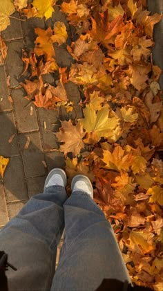 autumn aesthetic, autumn outfits, aesthetic wallpaper, aesthetic pictures, aesthetic pfp, aesthetic fall, aesthetic october, aesthetic september, fall aesthetic outfit, fall aesthetic cozy, fall aesthetic pictures, autumn leaves, autumn leaves aesthetic, autumn leaves vibe, fall vibe, school aesthetic, romanticizing school, romanticizing autumn, romanticizing fall, rory gilmore, gilmore girls, rory gilmore aesthetic, baggy jeans, blue jeans, jordan shoes, jordans, baggy outfits, september Fall Aesthetic Pictures, Fall Mood Board, Autumn Magic, Pumpkin Spice Season, Cozy Season, Autumn Scenery, Fall Feels, Photography Awards, Fall Pictures