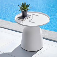 a potted plant sitting on top of a white table next to a swimming pool