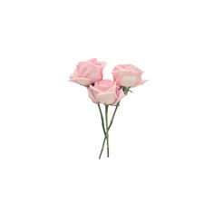 three pink roses sitting on top of each other