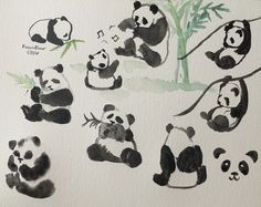 the pandas are eating bamboo and playing with each other on the wall in the room