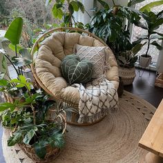 a living room filled with lots of plants and furniture