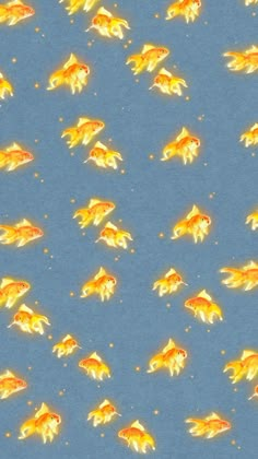 Orange gold fish wallpaper/background. Goldfish Phone Wallpaper, Goldfish Wallpaper Iphone, Yellow Fish Aesthetic, Cute Fish Wallpaper Aesthetic, Aquarium Computer Wallpaper, Gold Fish Aesthetic Wallpaper, Gold Fish Wallpaper Iphone, Goldfish Wallpaper Aesthetic, Fish Background Aesthetic