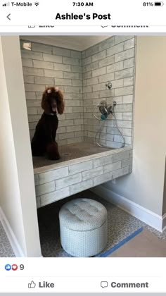 a dog sitting on top of a wooden platform in a bathroom next to a shower