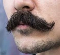 Mustache Grooming, Beard And Mustache Styles, Moustaches Men, Handlebar Mustache, Beard Art, Men's Facial Hair