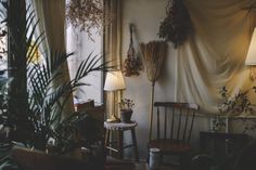 a living room filled with lots of plants next to a wall covered in drapes