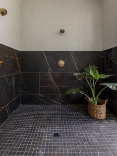 a bathroom with a plant in the corner next to it on the tile floor and walls