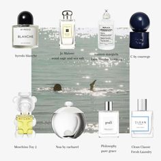 Perfume Genius, Clean Perfume, Fresh Perfume, Sephora Skin Care, Clean Girl Aesthetic, Perfume Reviews, Clean Fragrance