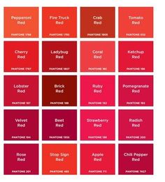 the color chart for red is shown in this image, with different shades to choose from