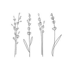 four different types of flowers on a white background