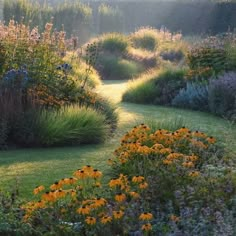 the sun shines through the grass and flowers on this garden path that is surrounded by tall grasses and wildflowers