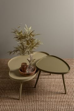 two tables sitting on top of a carpeted floor next to a potted plant