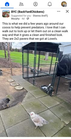 an image of a bird in a cage on the ground next to a fence and grass field