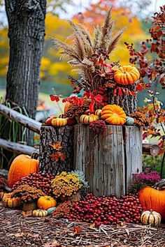 pumpkins and gourds are arranged around a tree stump