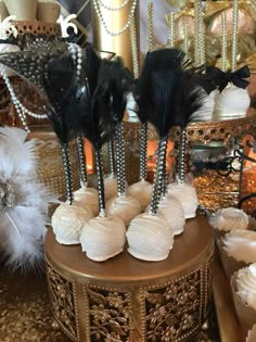 there are many different types of feathers on the table and in front of each other