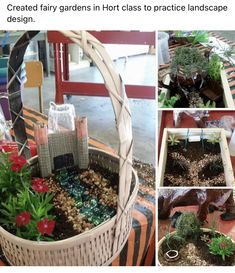 several pictures of different plants in a basket