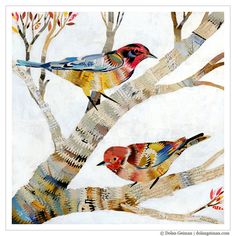 two colorful birds sitting on top of a tree