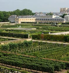 an aerial view of a garden with many trees and buildings in the backgroud