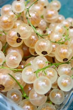 some white grapes are in a plastic container