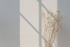 a vase with dried flowers in it sitting on a table next to a white wall