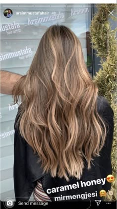 Golden Ash Blonde Balayage, Caramel Toned Highlights, Hair Colour Ideas Dark Blonde, Honey Brown Ash Hair, Thick Long Hair With Layers Wavy, Glazed Doughnut Hair, Hair Inspo Color Brunettes Long, Light Brown Hair Light Eyes, Light Balyage Long Hair