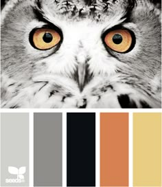 an owl's eyes are shown in the color scheme, including oranges and browns