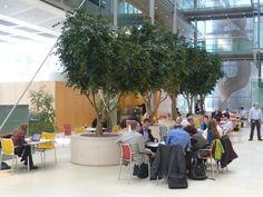 people are sitting at tables in an office building with trees and plants on the walls