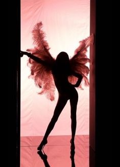 the silhouette of a woman with wings is shown in front of a pink wall and black background