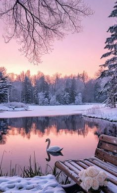 a bench sitting in front of a lake covered in snow next to a flower vase