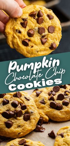 A top image of a hand holding up a pumpkin chocolate chip cookie, and a bottom image of pumpkin chocolate chip cookies set on each other. Fall Fun Food, Pumpkin Chocolate Chip, Pumpkin Chocolate Chip Cookies, Delicious Cookie Recipes, Pumpkin Chocolate Chips, Fall Spices, Pumpkin Flavor, Delicious Pumpkin, Milk Chocolate Chips