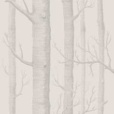 Buy 112/3011 Cs Woods Parchment By Cole and Son Wallpaper Cabin Powder Room, City Nursery, Beach Blanket Babylon, Woods Wallpaper, Sleepover Room, Connecticut House, Son Wallpaper, British Decor, Tuxedo Park